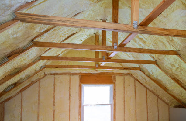 Best Specialized Insulation Services in Koontz Lake, IN